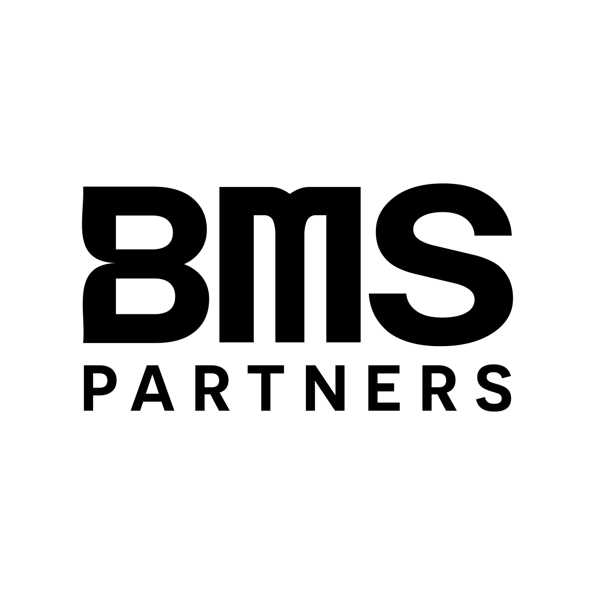 Công ty TNHH<br>BMS Partners